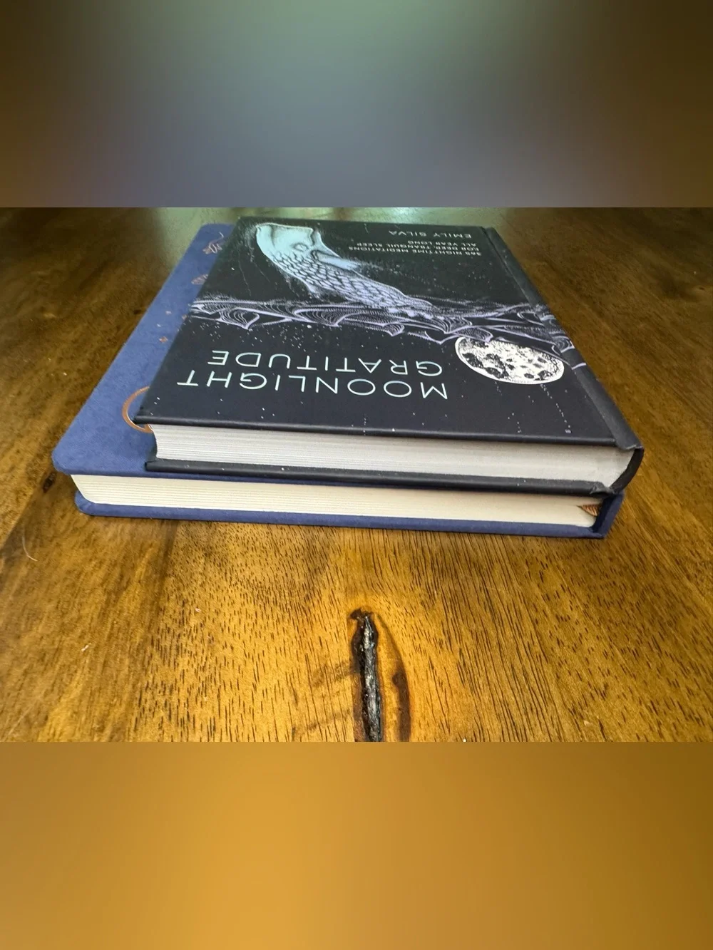 Book Bundle: Moonlight Gratitude by Emily Silva & Blank Journal - 2 Item Lot